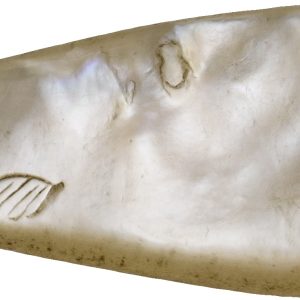 Jeton af perlemor, Fisk (tyk), 52 x 13 x 5 mm, lille skade på halen.